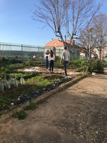 Alunos do 11ºB a preparar sementeira de plantas de flores ornamentais.