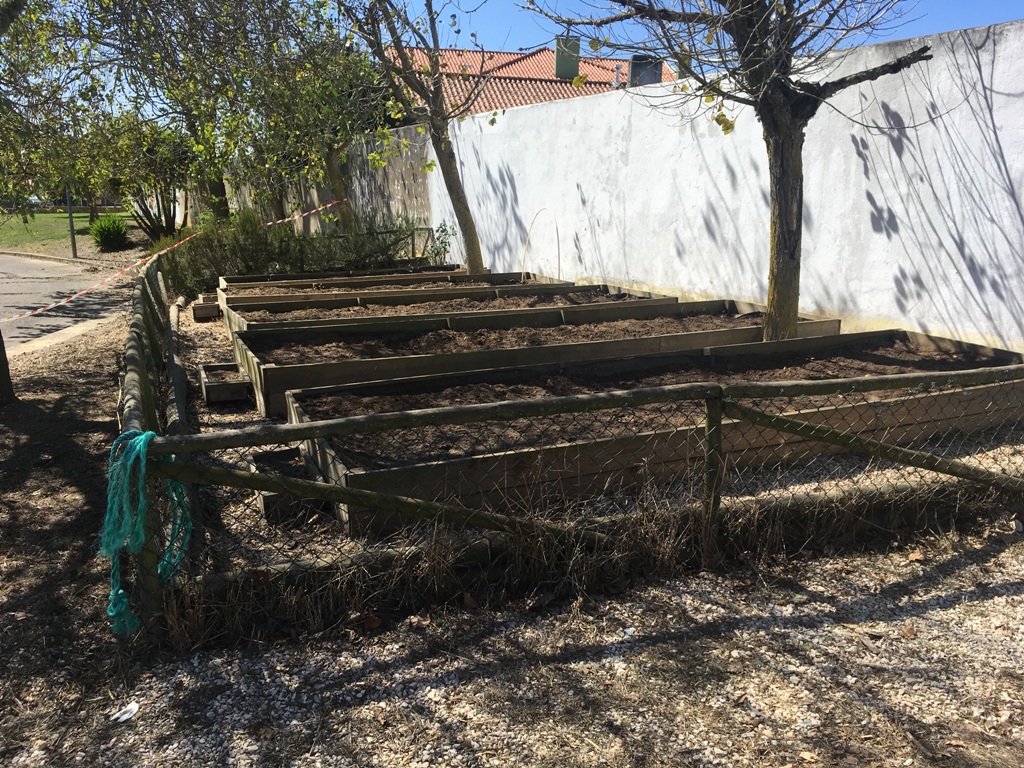 A Horta em setembro/outubro antes dos trabalhos