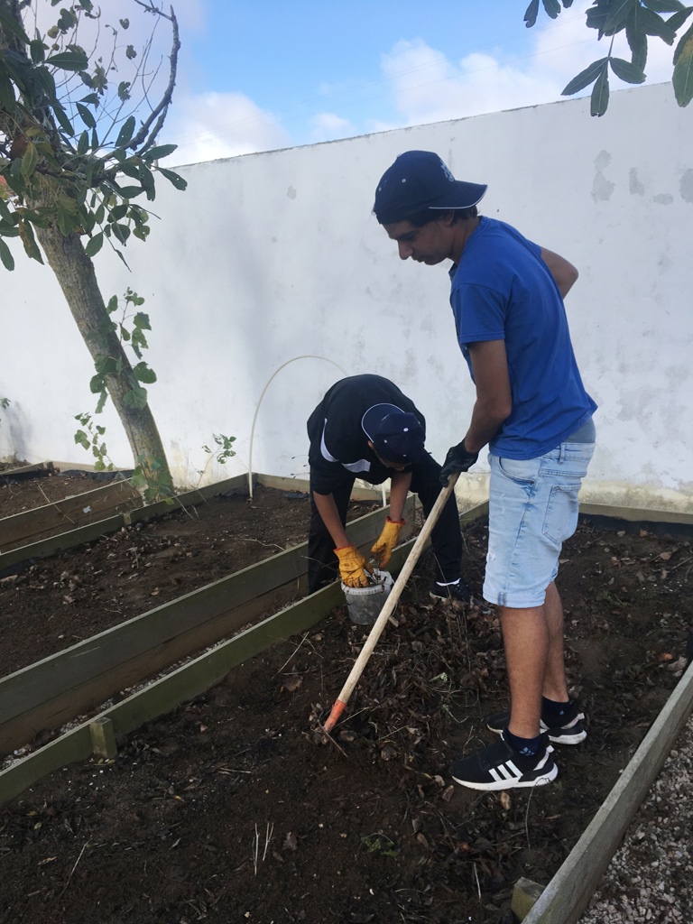 Preparação do terra (primeiros trabalhos).
