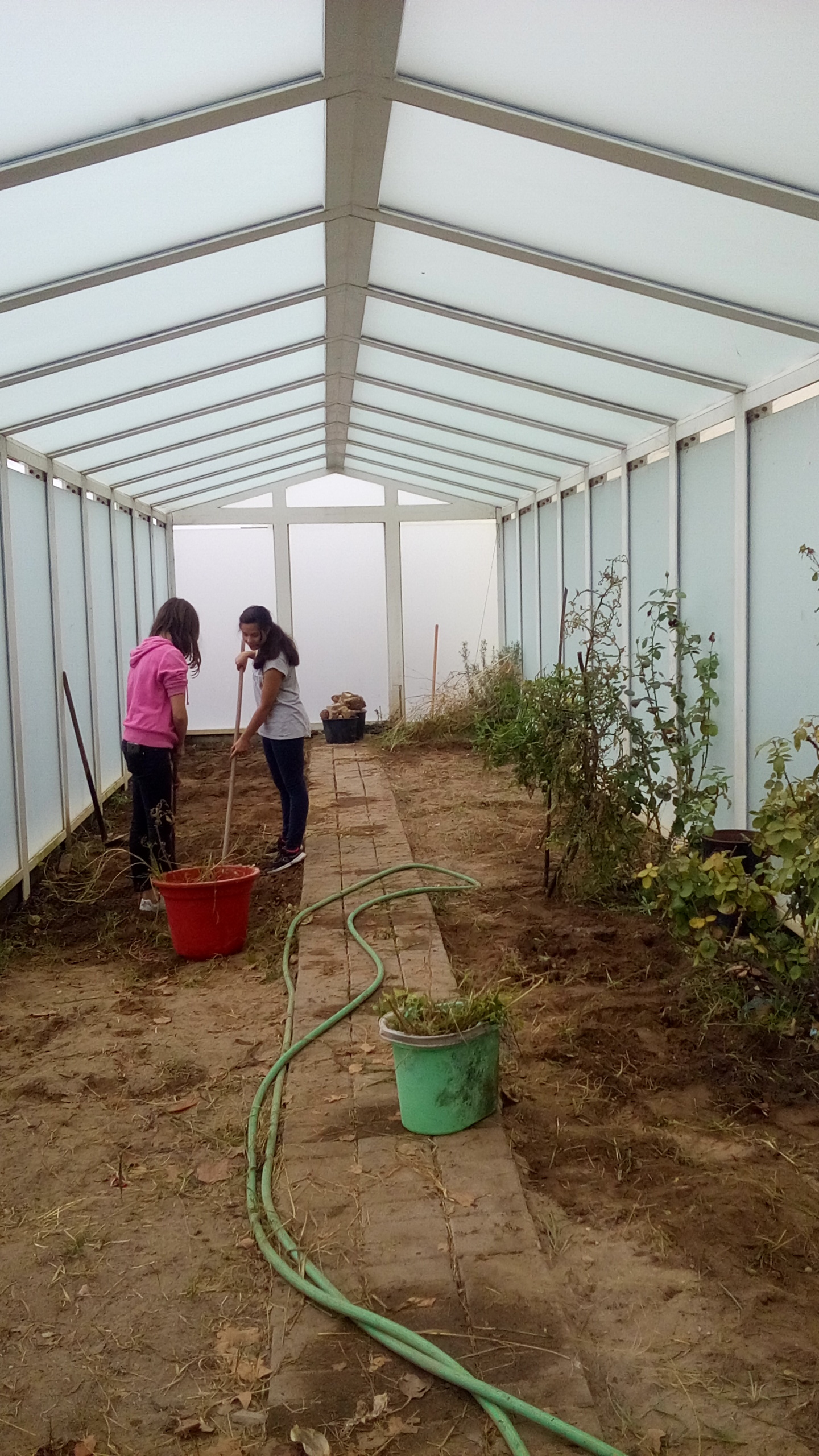 Tratamento do terreno da estufa - outubro
Foram preparados 3 terrenos: um com composto, outro com moliço e outro sem adubo, para posterior comparação entre as várias hortícolas.