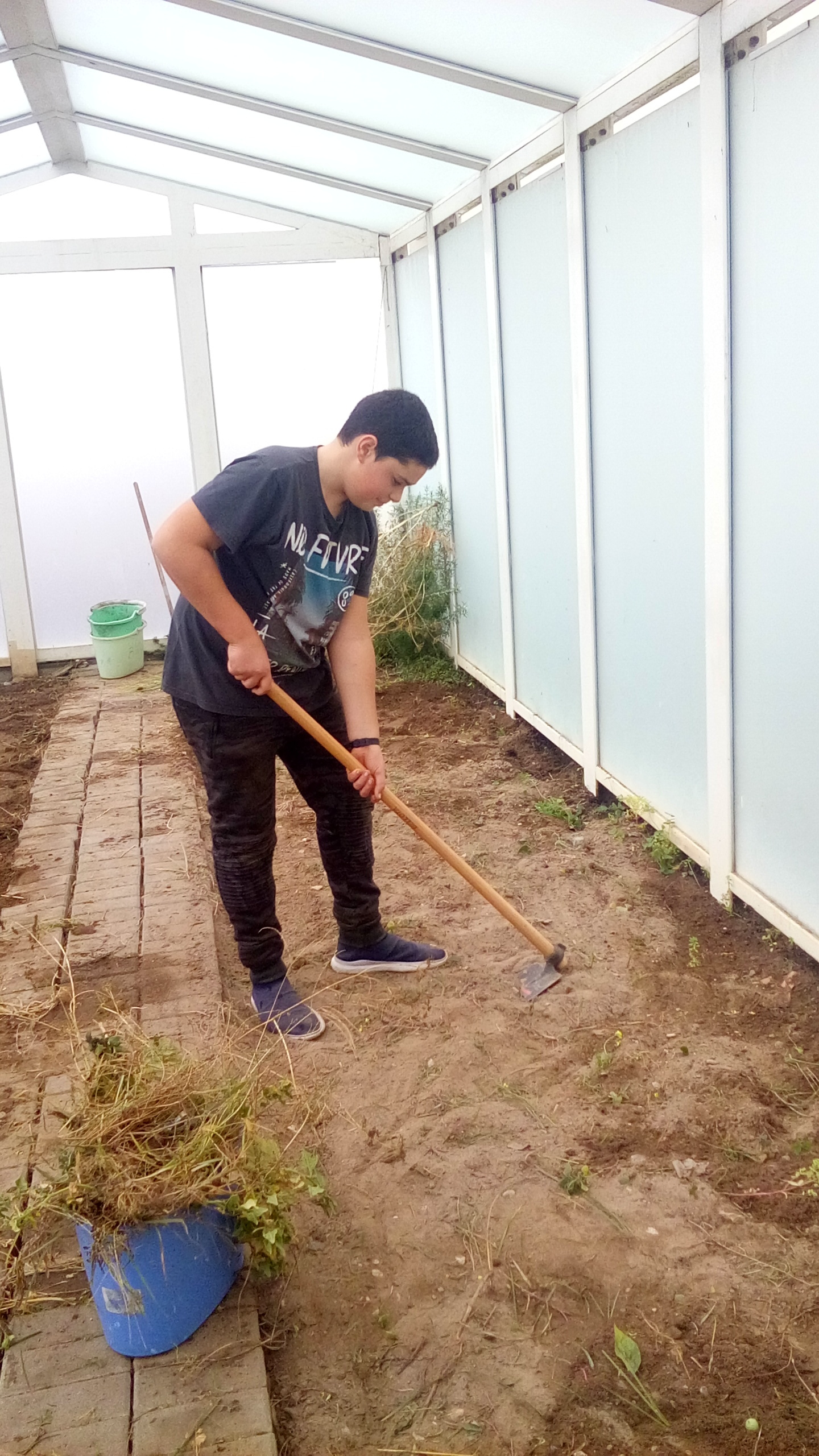 Tratamento do terreno da estufa - outubro