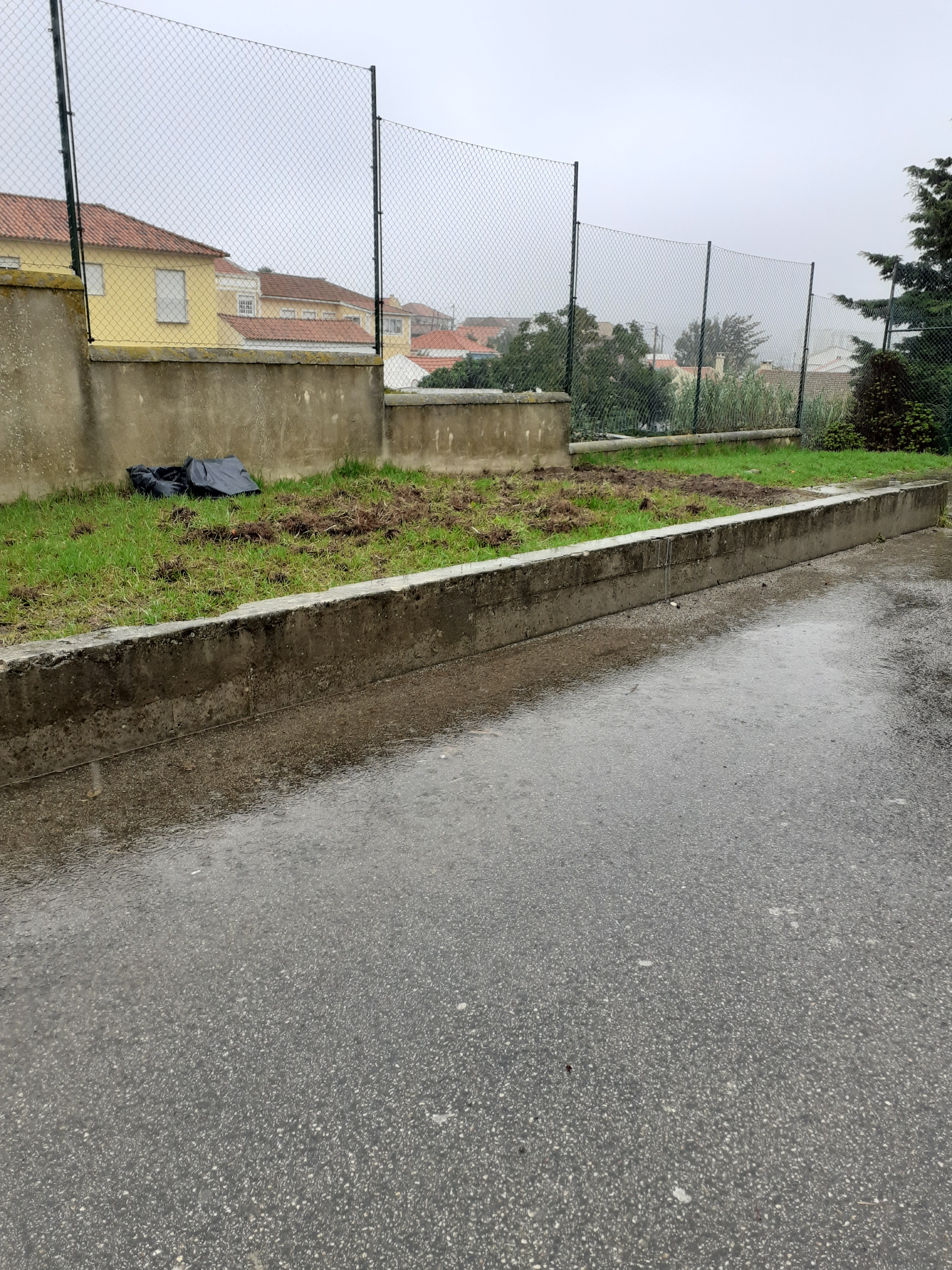 Terreno da nova horta na fase de remoção do escalracho.