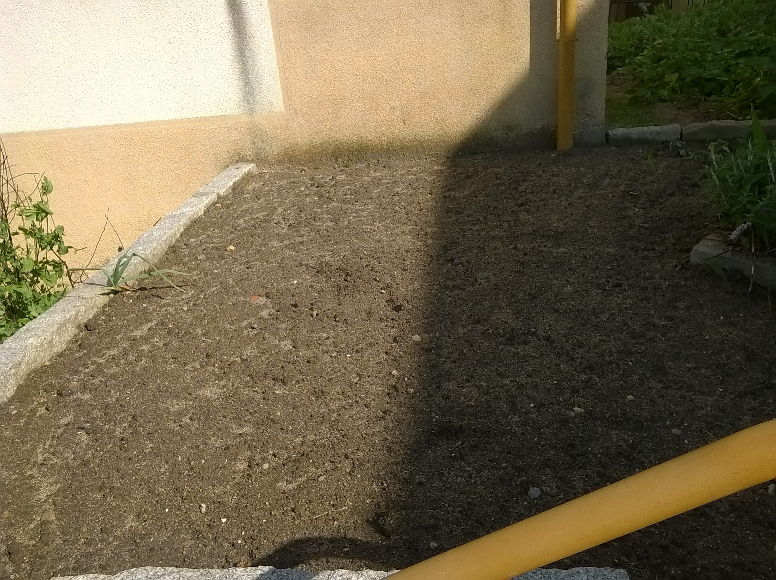 Temos um canteiro preparado para uma nova sementeira/plantação.
