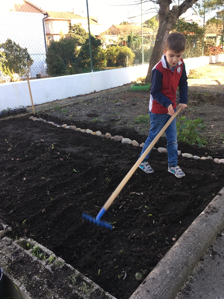 Preparação da terra da horta para o cultivo