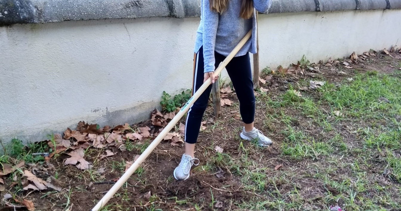 Limpeza/retirada/eliminação de ervas daninhas, lixo e pedras.
Preparação do terreno para posterior cultivo