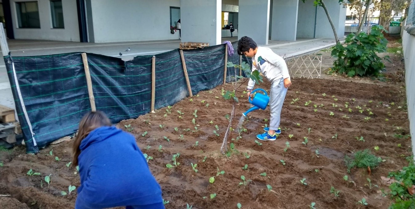 Plantação e rega.