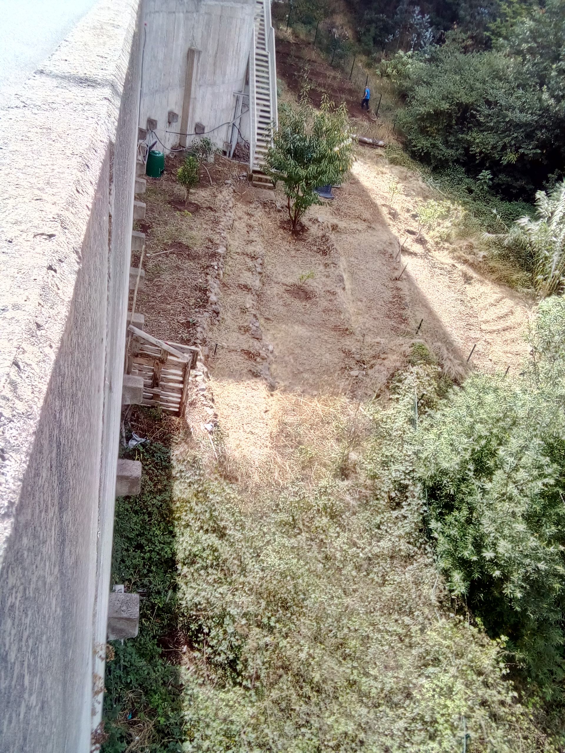 Limpeza da Horta.