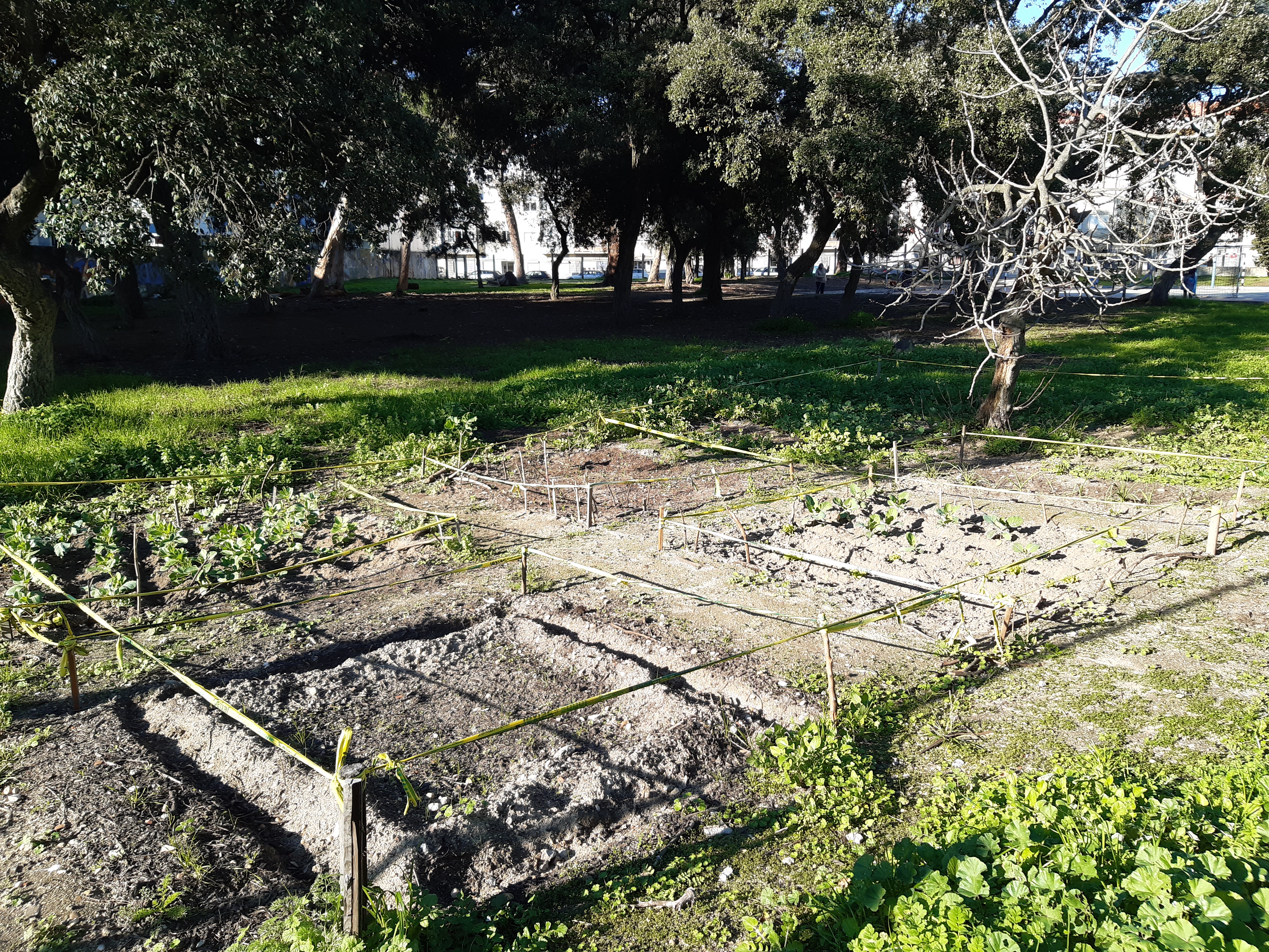 horta em Janeiro_2