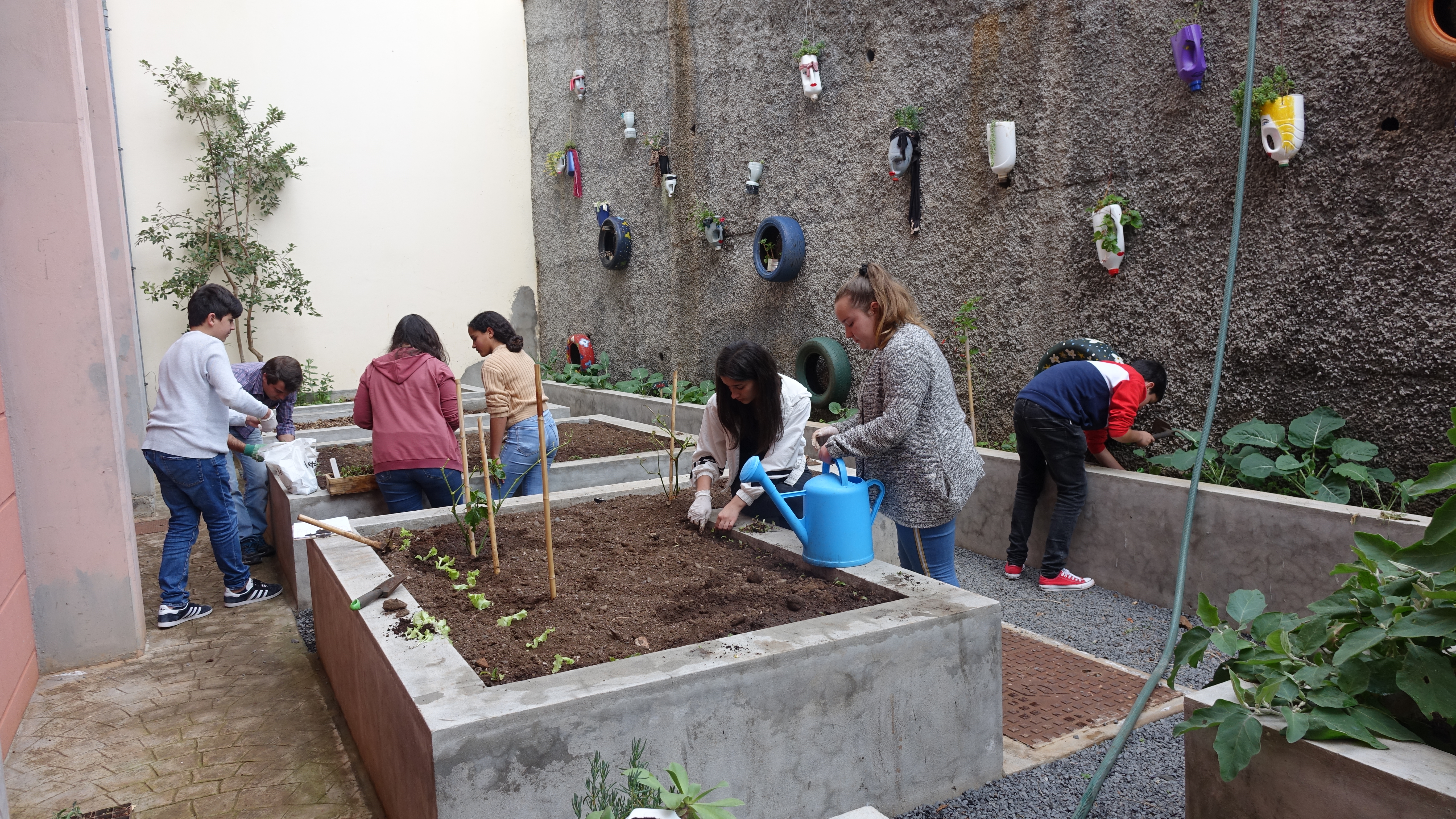 Plantação de hortícolas na Horta Bio - Os alunos e professores do clube Eco a plantar várias hortícolas nos canteiros da Horta Bio.