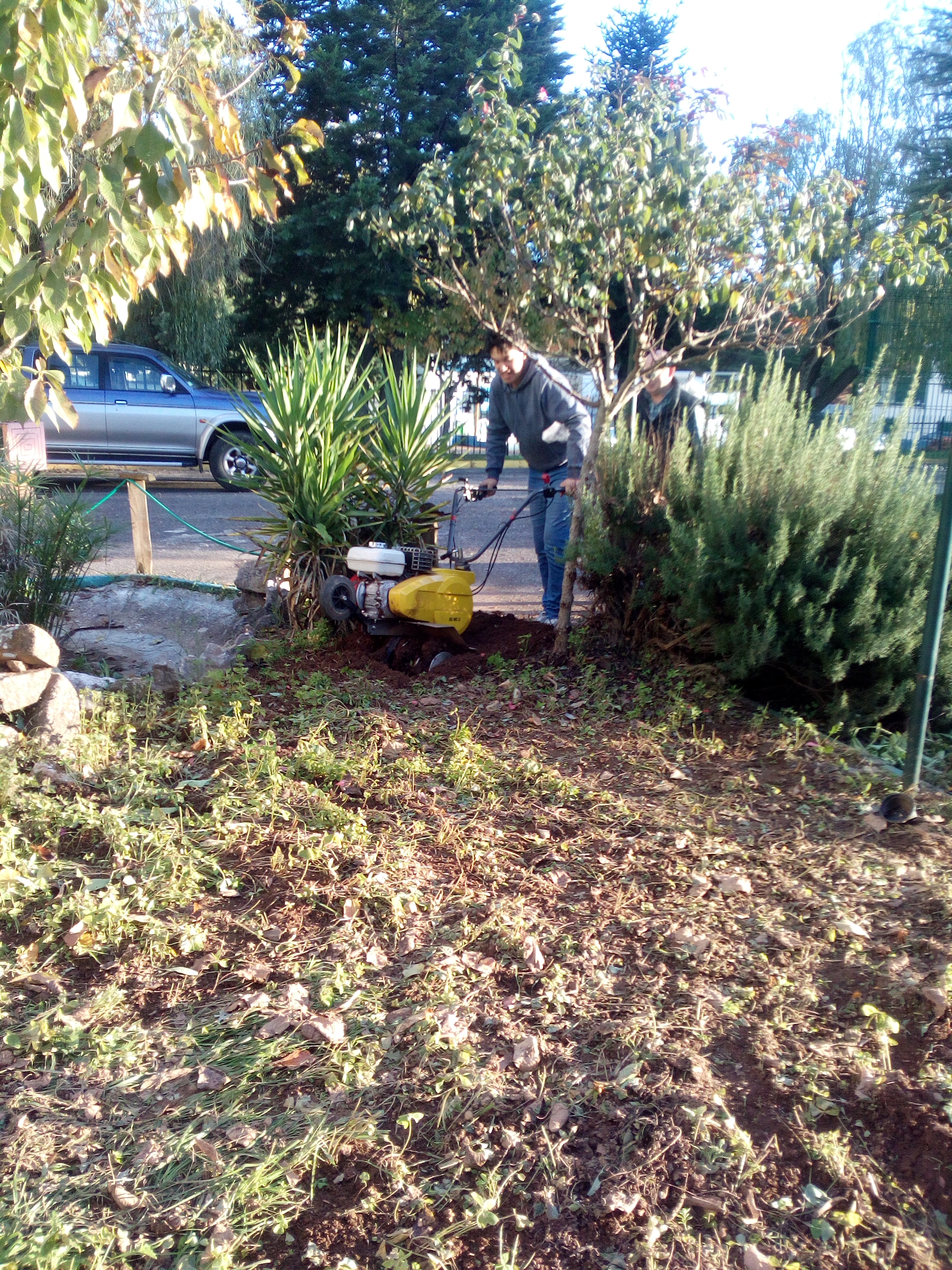 Preparação do terreno.