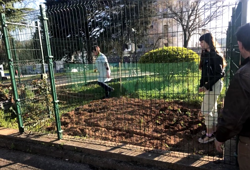 Preparação do terreno para a produção de plantas aromáticas.