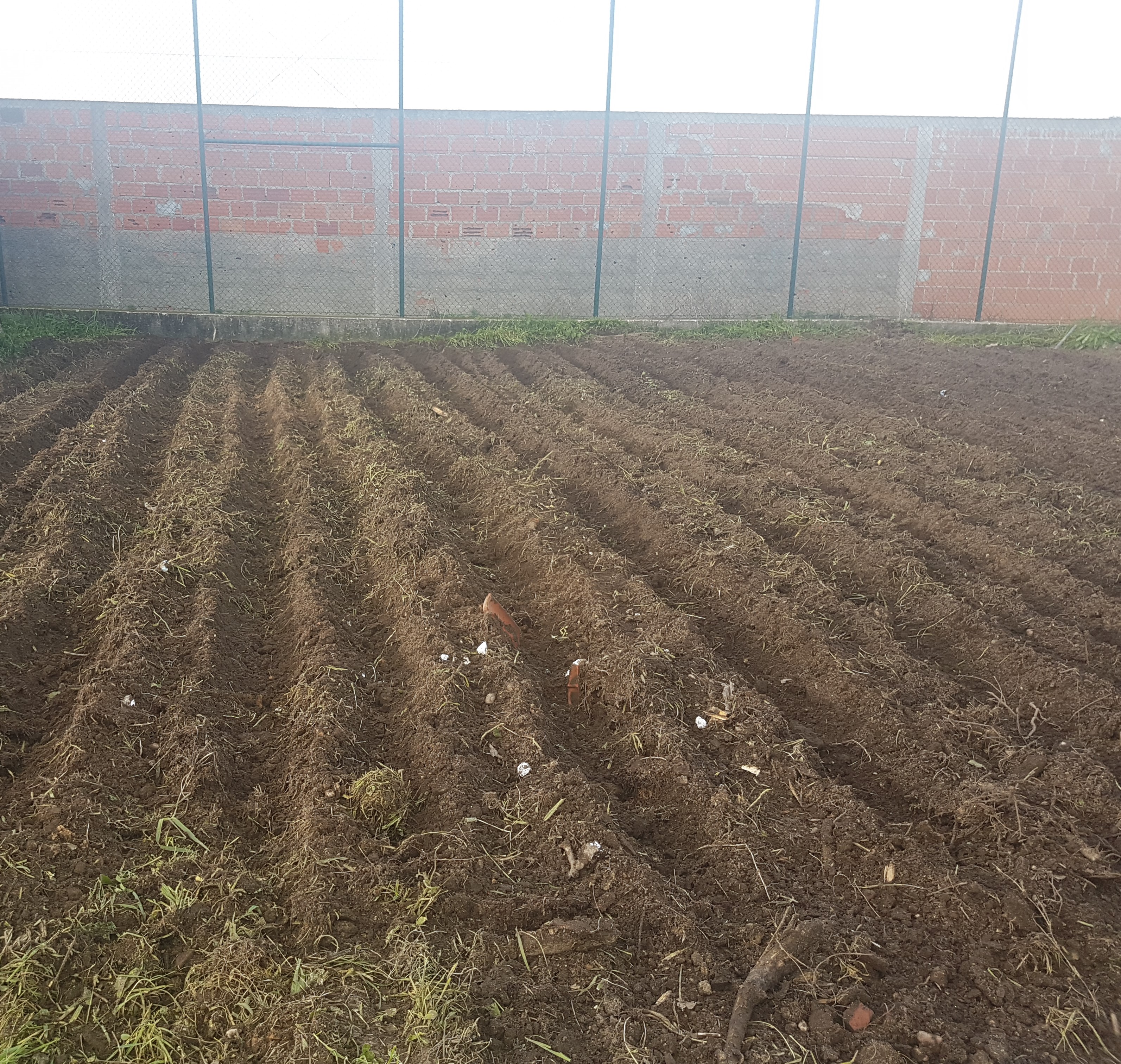 Terreno lavrado