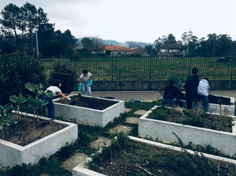 Limpeza de mobilização do solo
