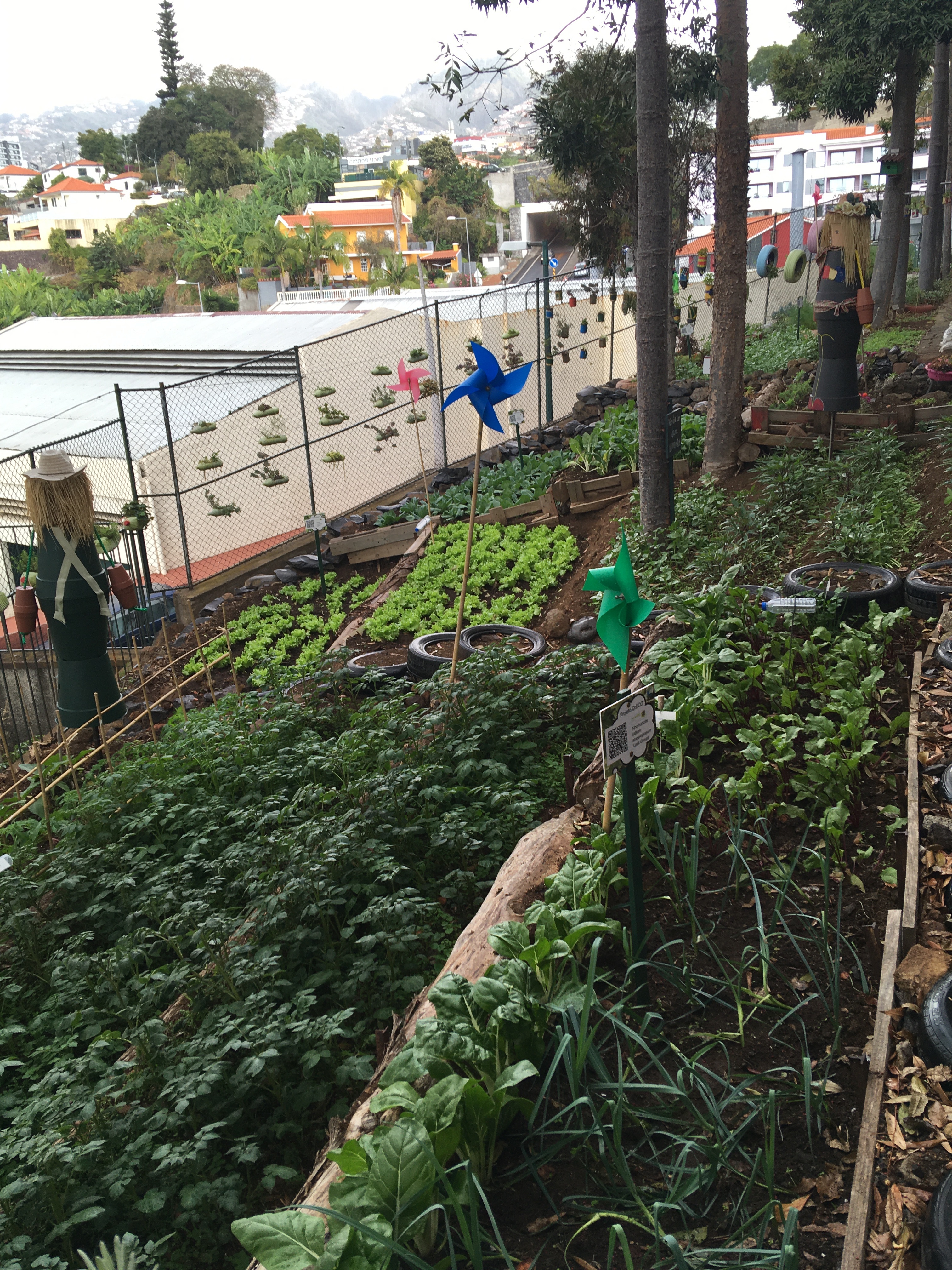 Uma das zonas da bio-horta.