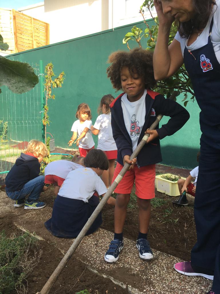 Preparação da terra.