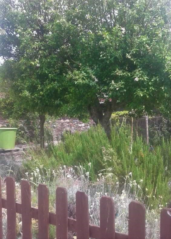 A nossa Horta | Biogarden