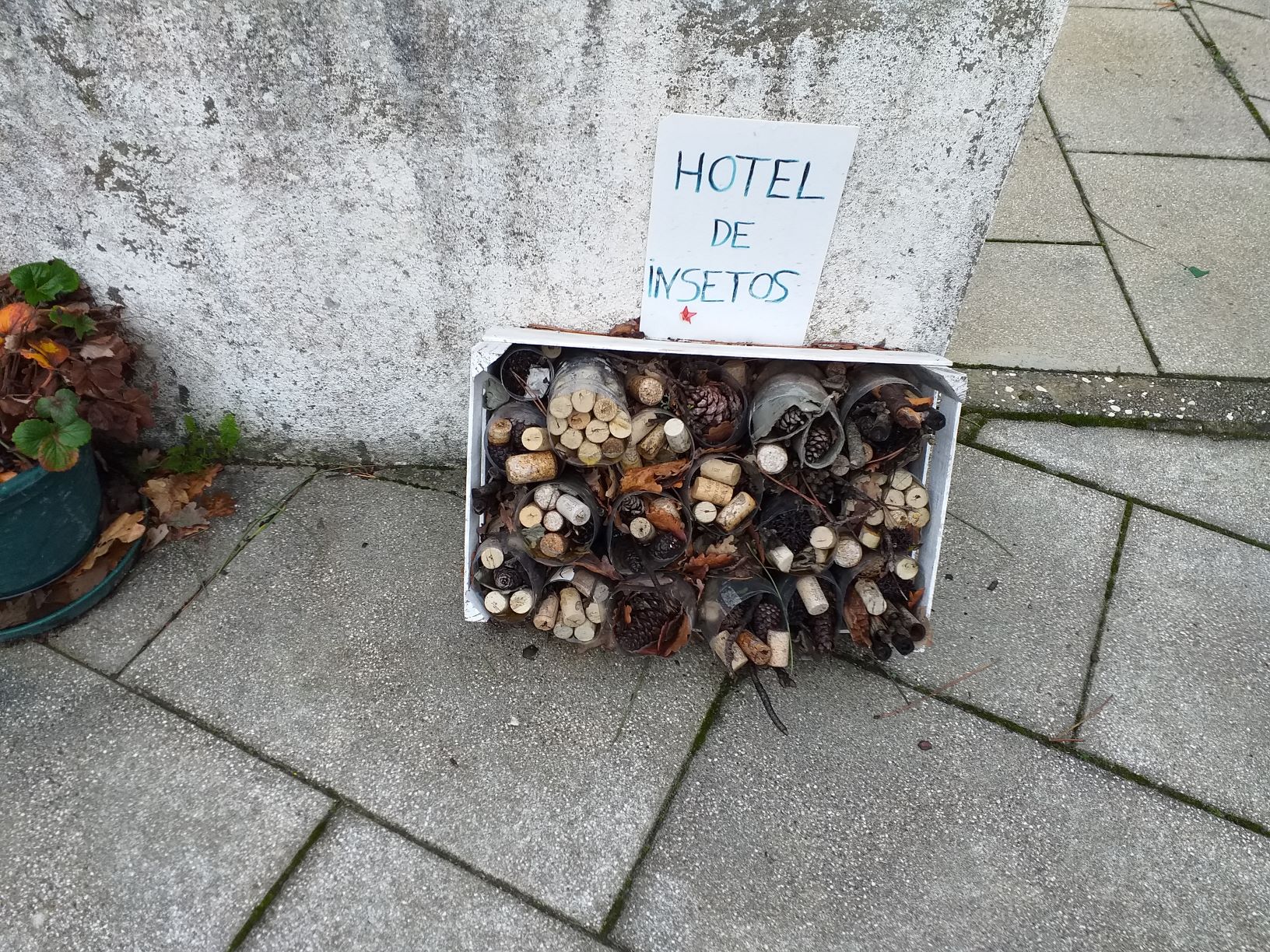 Para ajudar a polinização das plantas construímos um hotel para insetos.