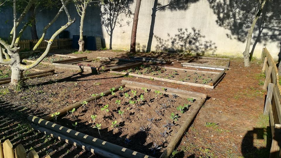 A Horta em Janeiro.