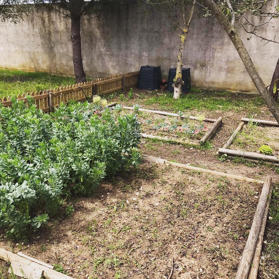 A Horta em Março.