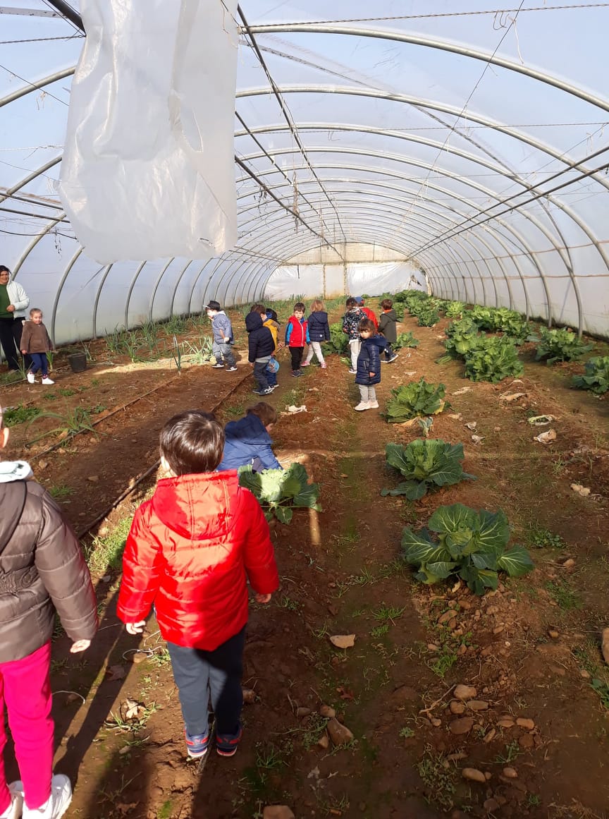 Visita a uma Horta Pedagógica