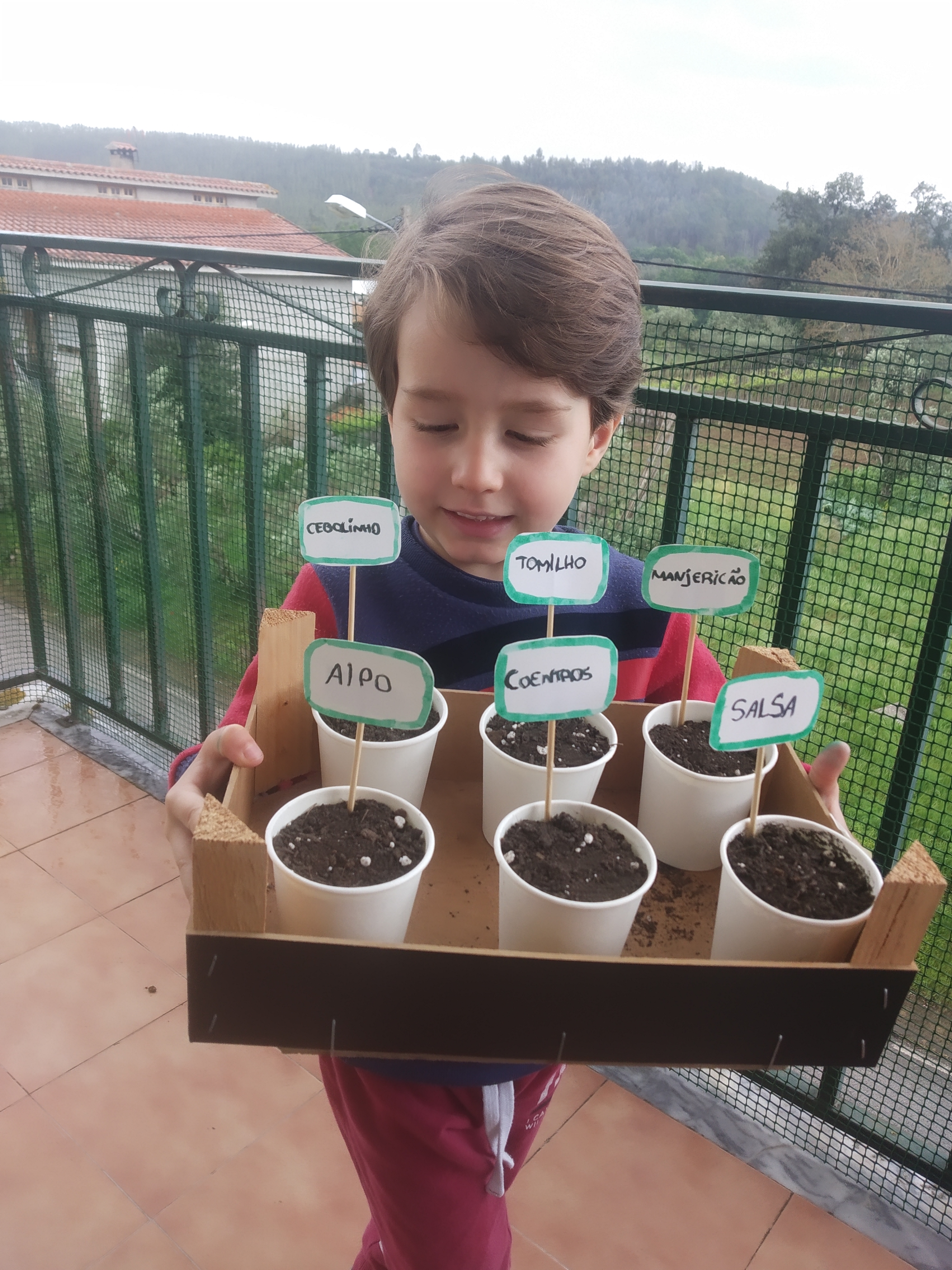 horta em casa