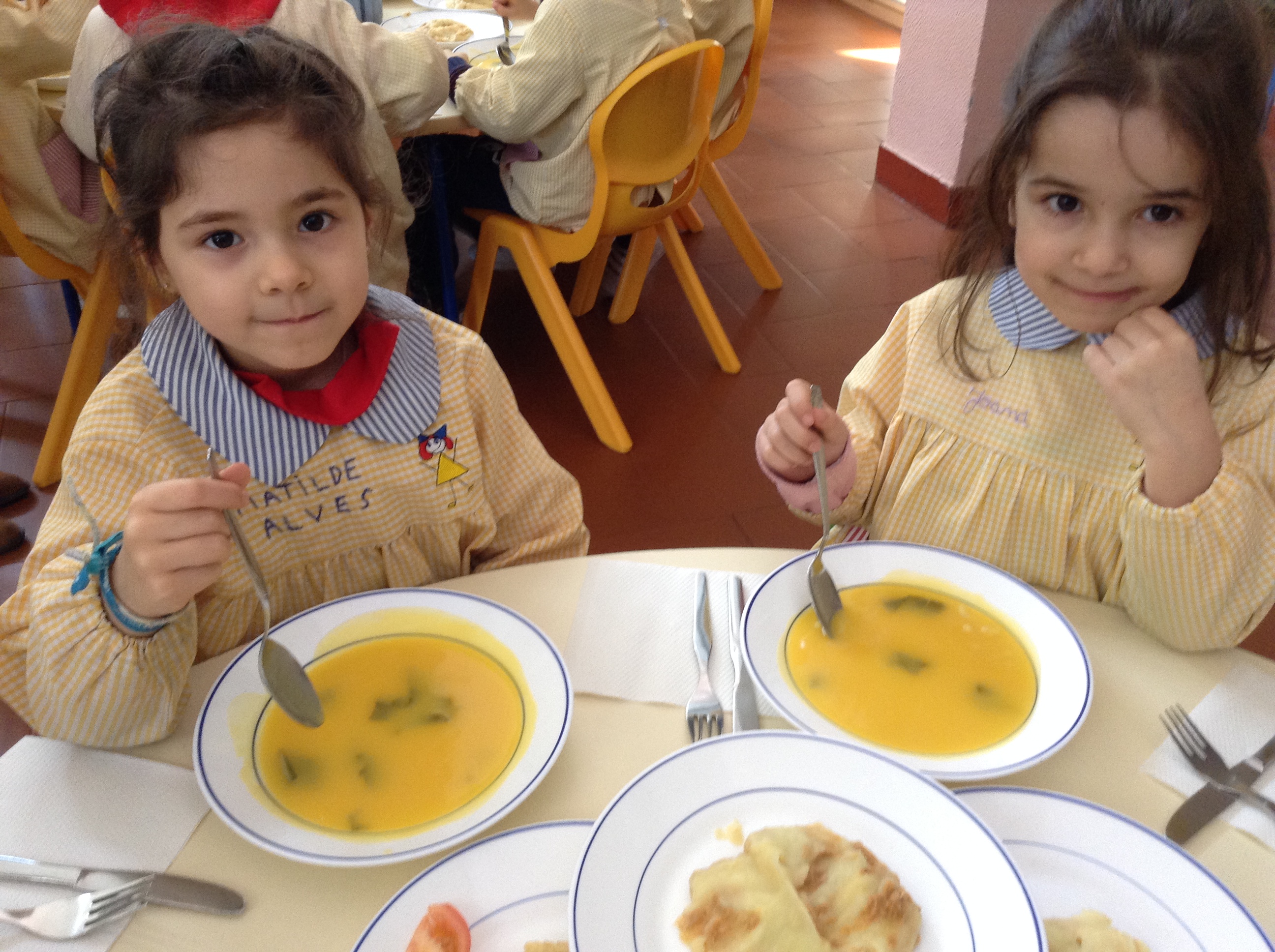 Sopa confecionada com as couves da nossa horta.