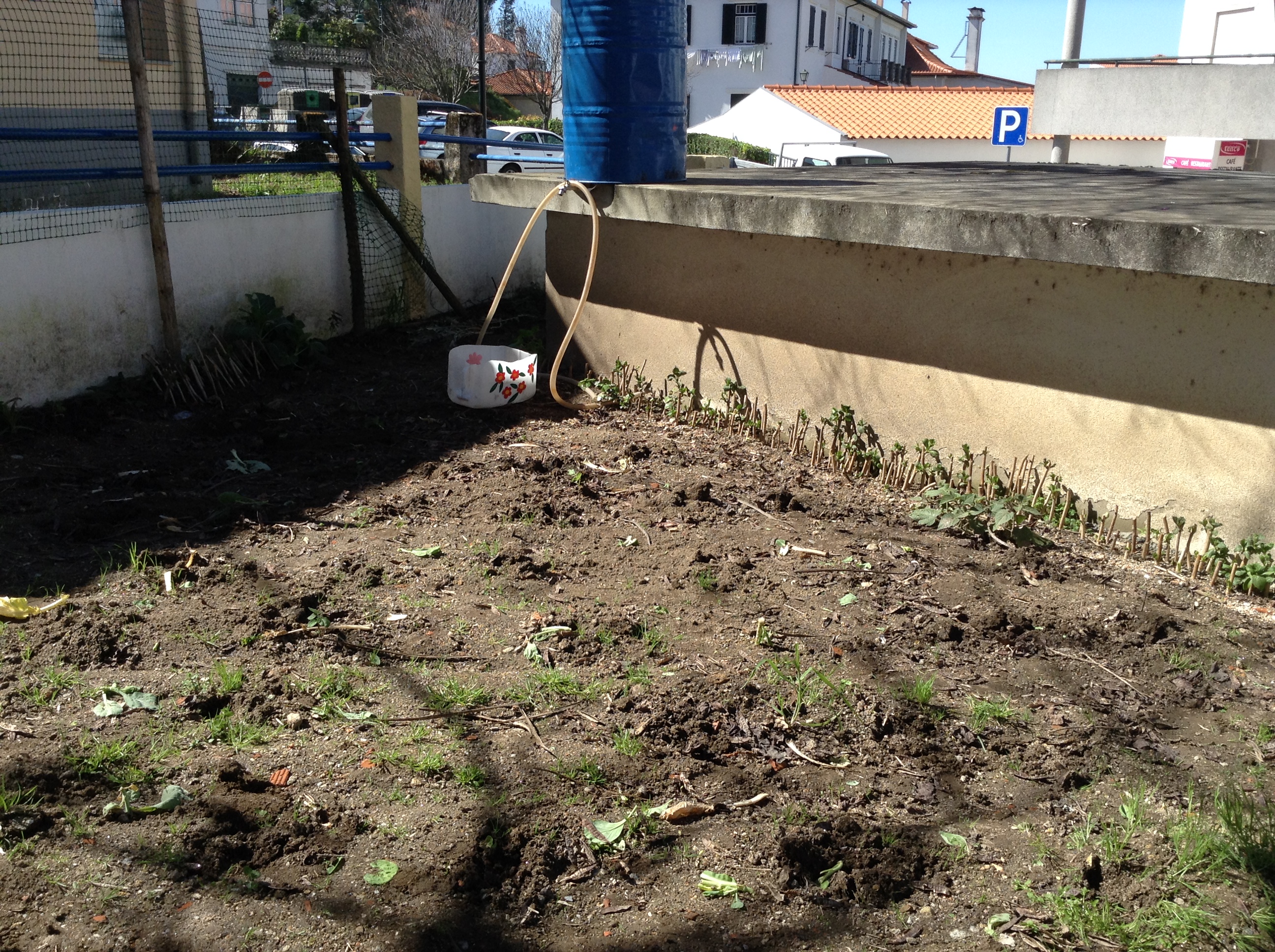 Terreno limpo e pronto a receber as sementes