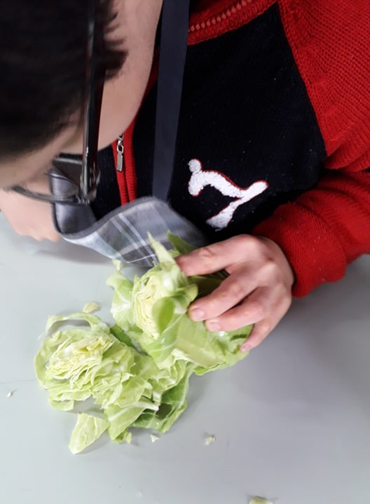 As hortaliças como por exemplo coração e espinafres têm sido utilizados em receitas de sopa elaboradas pelo aluno Márcio Raposo com a ajuda da professora Luísa Sota docente de Educação Especial.