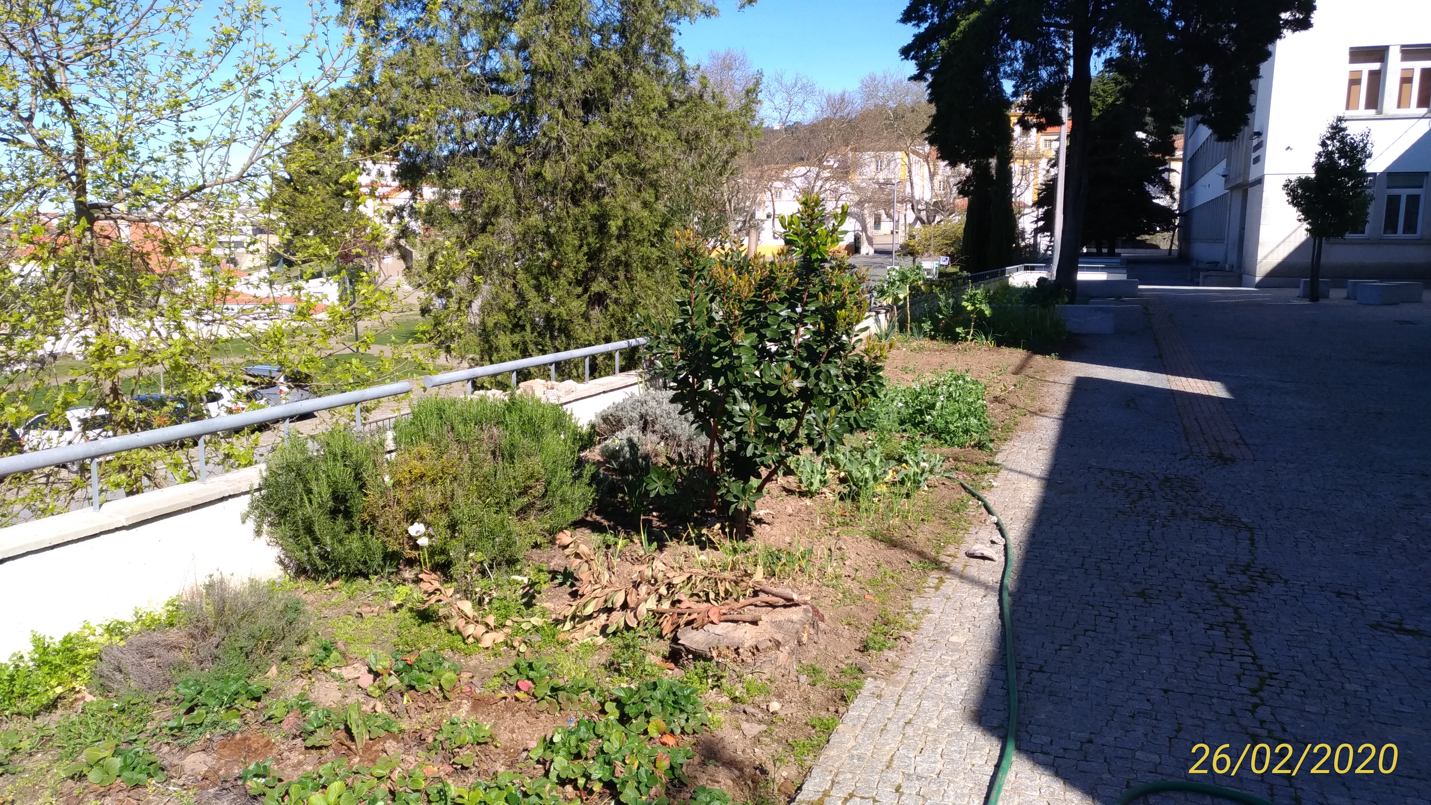 Horta Biológica_1
