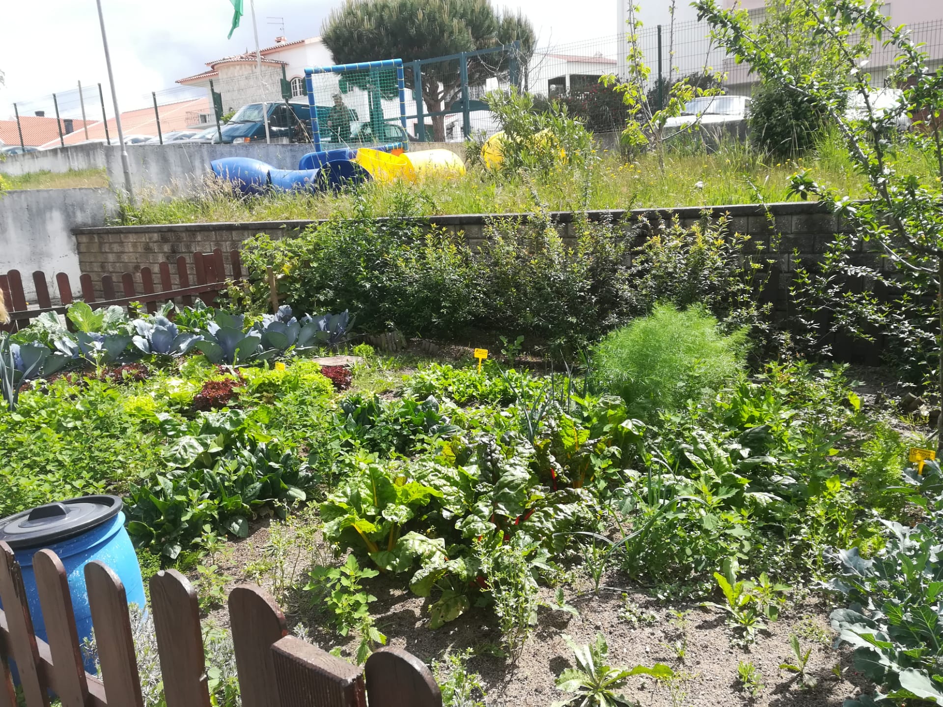 Horta.