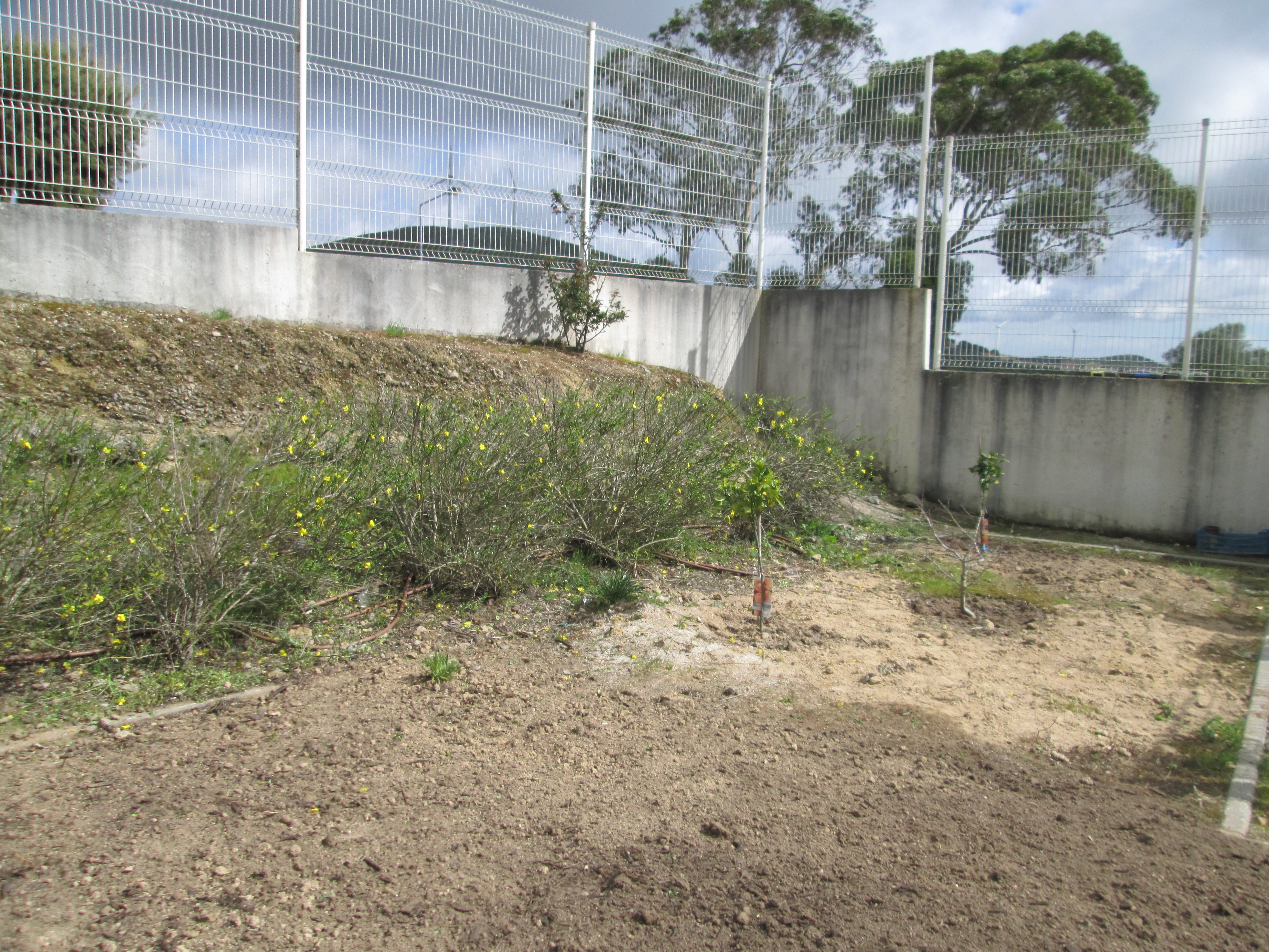 Preparação da terra para os trabalhos da horta.