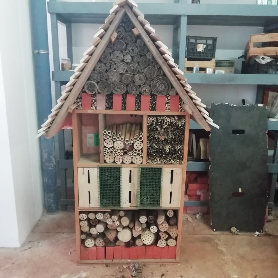 Construção do Hotel de  insetos
