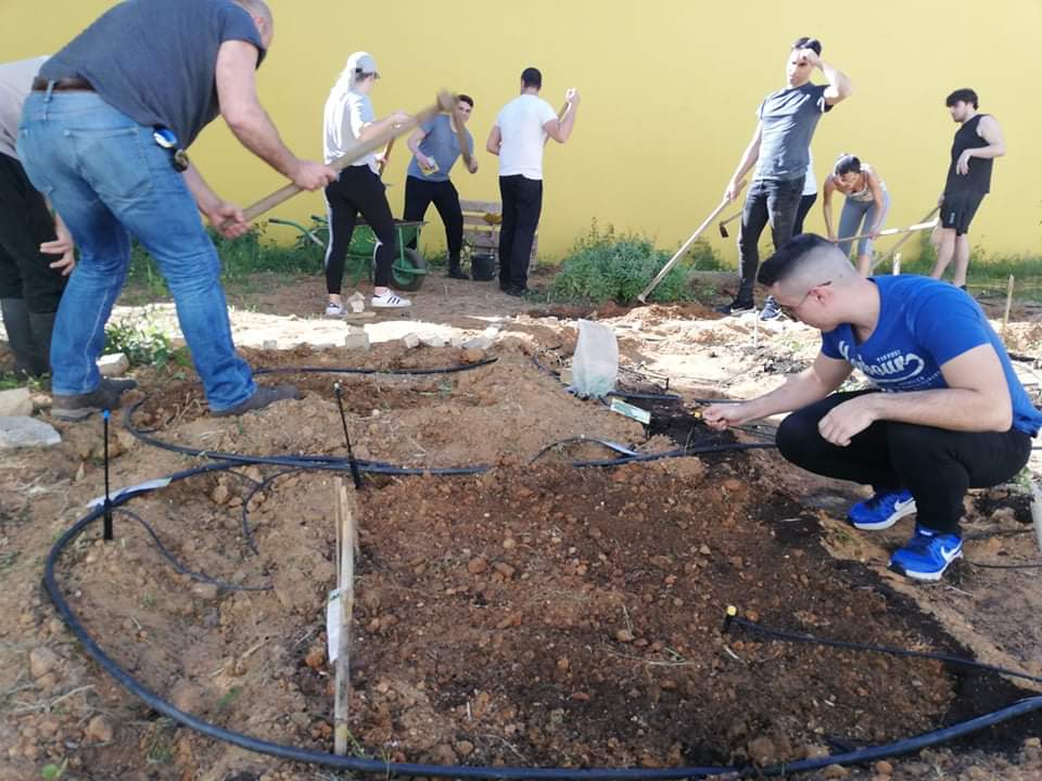 Preparação/ limpeza do terreno