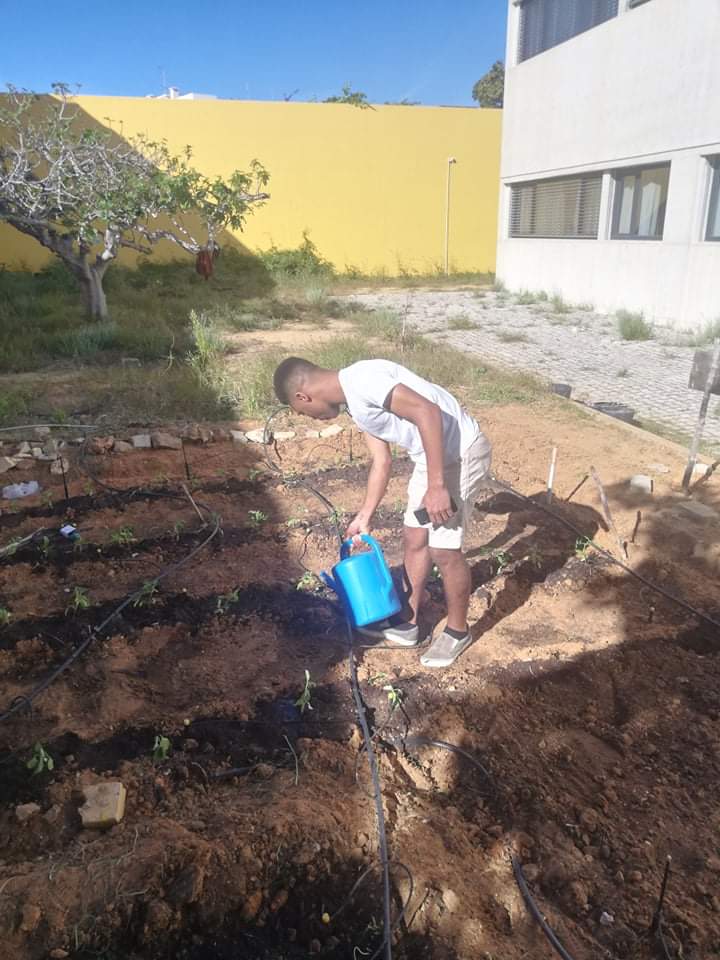 rega artesanal