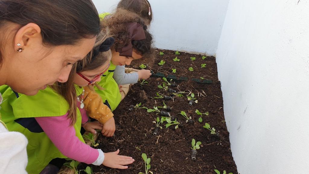 Primeira Plantação do ano