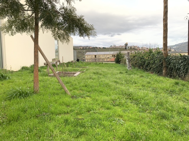 Vista Geral da área ocupada pela Horta