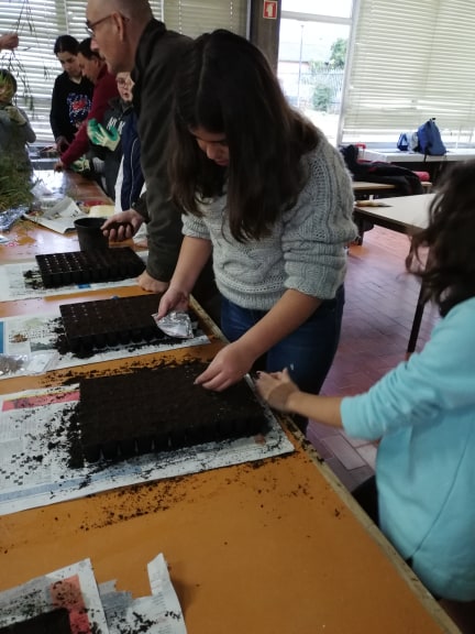 Sementeira de árvores e herbáceas para posterior plantação na Horta Pedagógica no mês de novembro, com os alunos do Clube Eco.