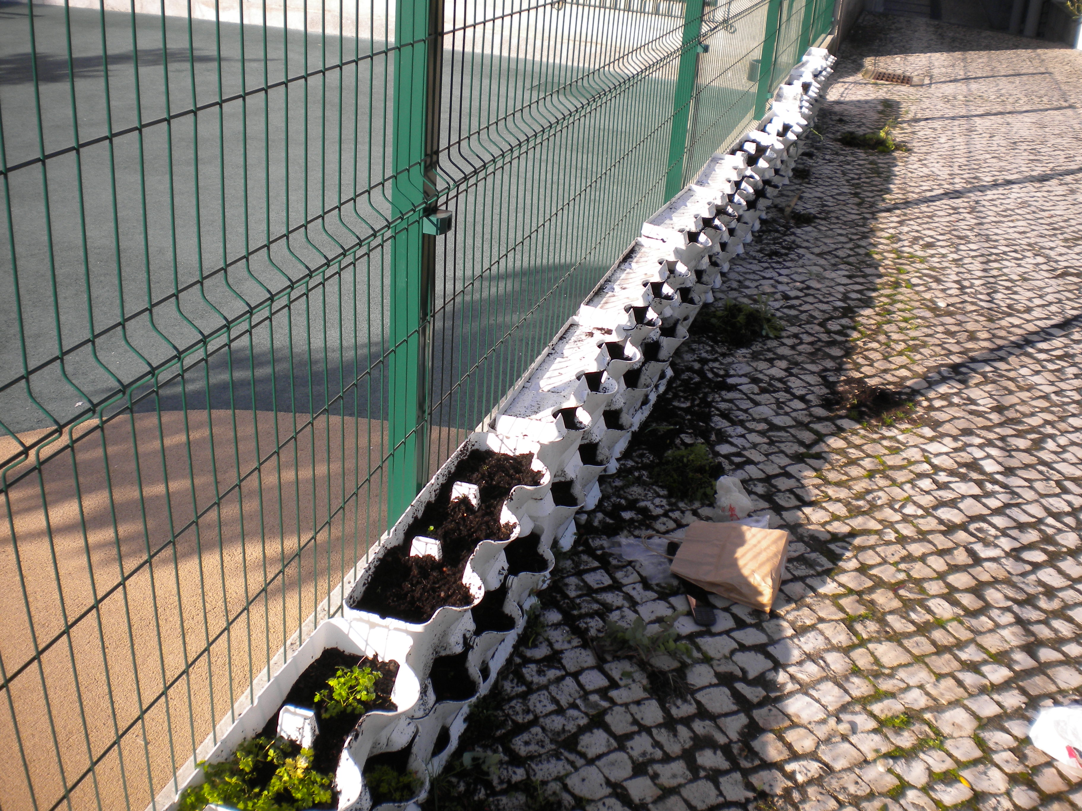 Horta do Jardim de Infância