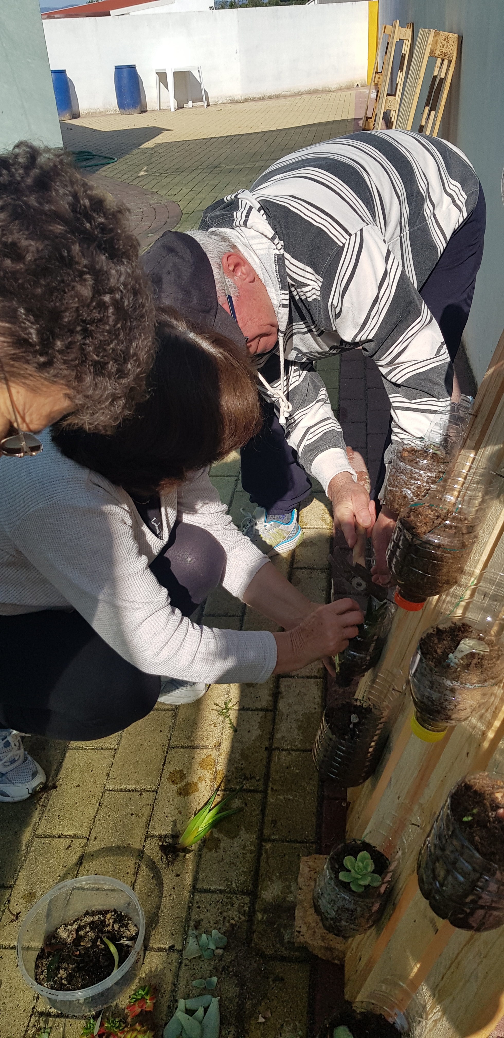 Alunos a colocarem vasos nas paletes