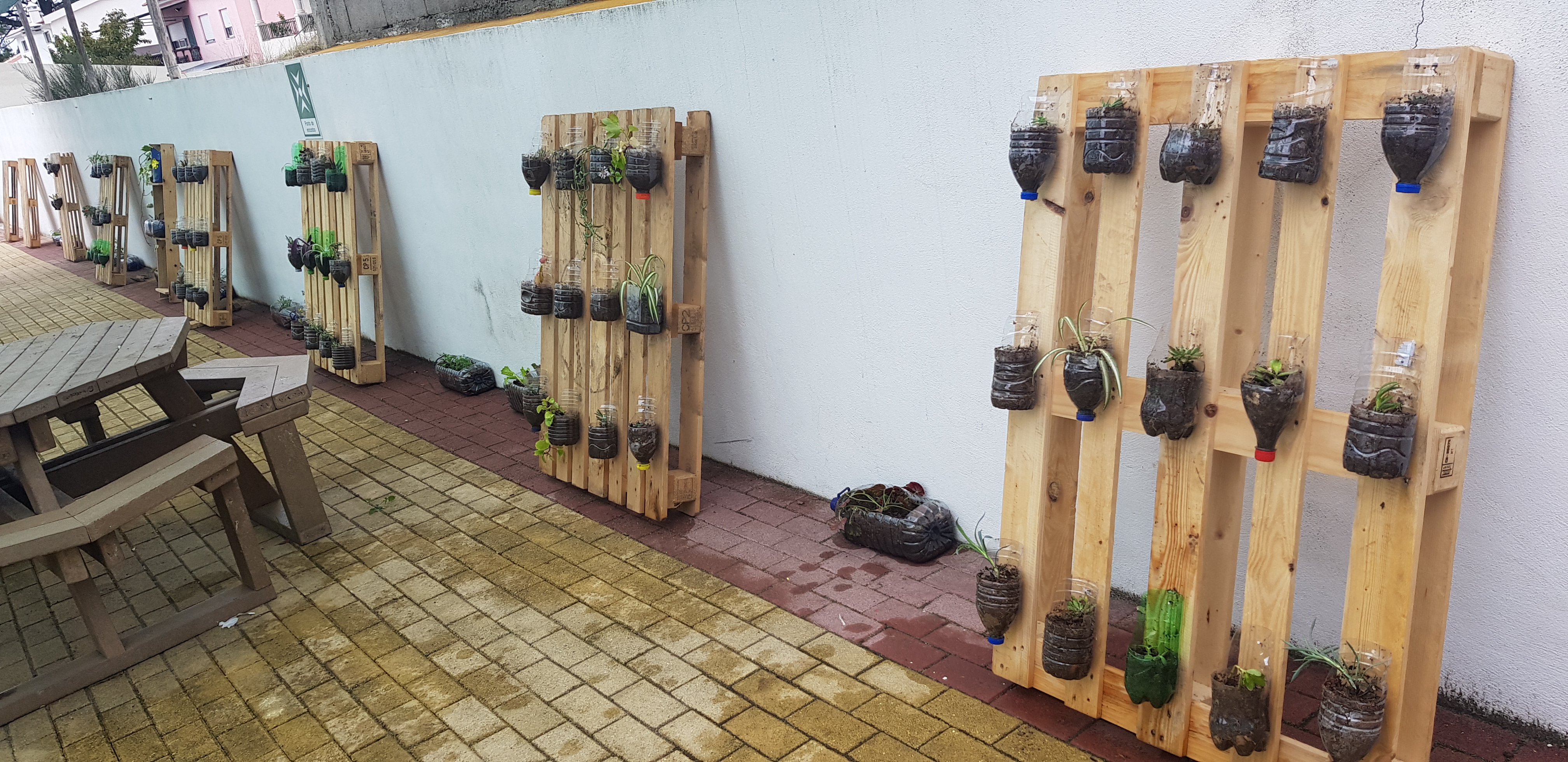 A nossa horta/ jardim já completo.
A nossa horta/jardim tem cerca de 100 mudas, entre as diversas plantas que apresenta.