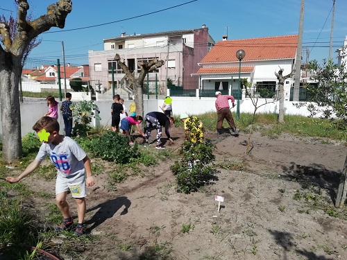 Terras previamente lavradas com apoio da ANIME e revolvidas com apoio dos avós para receberem os benefícios  dados pelo arejamento para receberem novas sementes ou plantações.