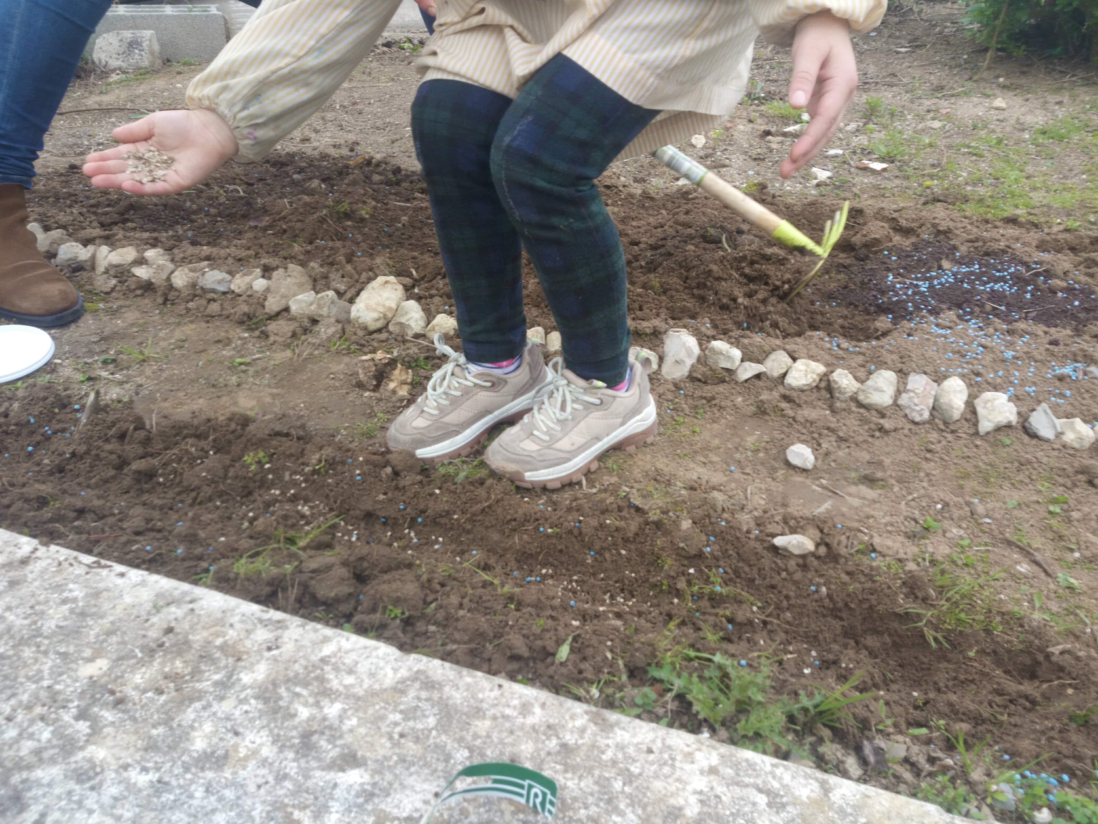 Atirando as sementes à terra