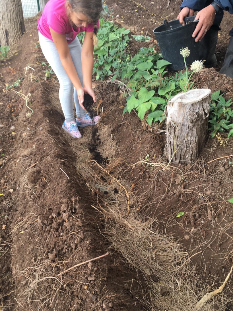Arte e perícia na preparação do terreno