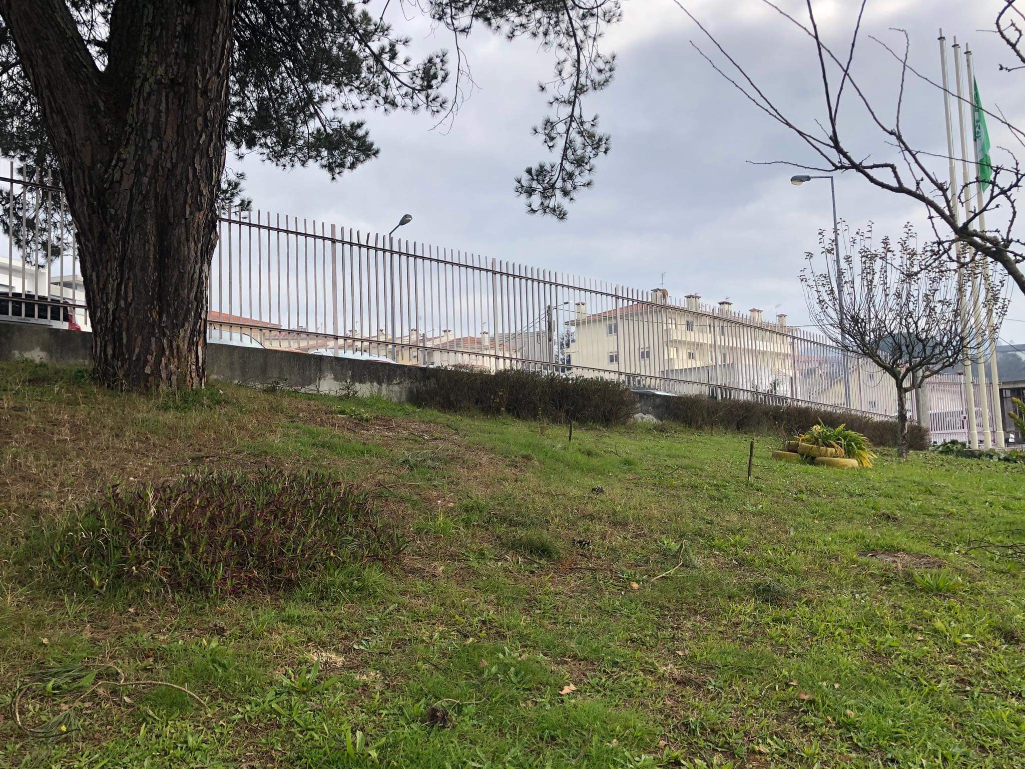 Local de implementação da horta.