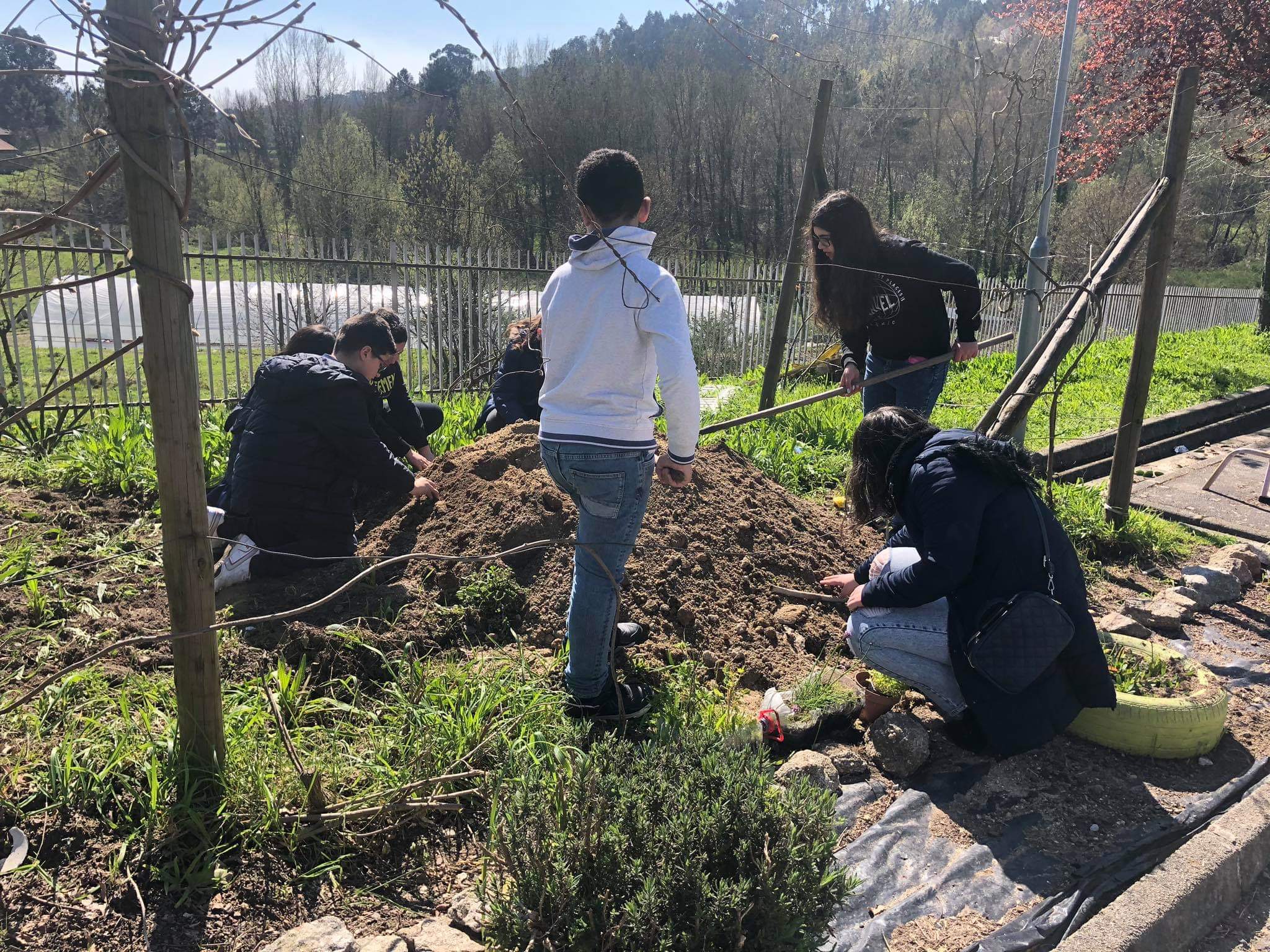 Alunos e professores nos trabalhos de preparação da horta