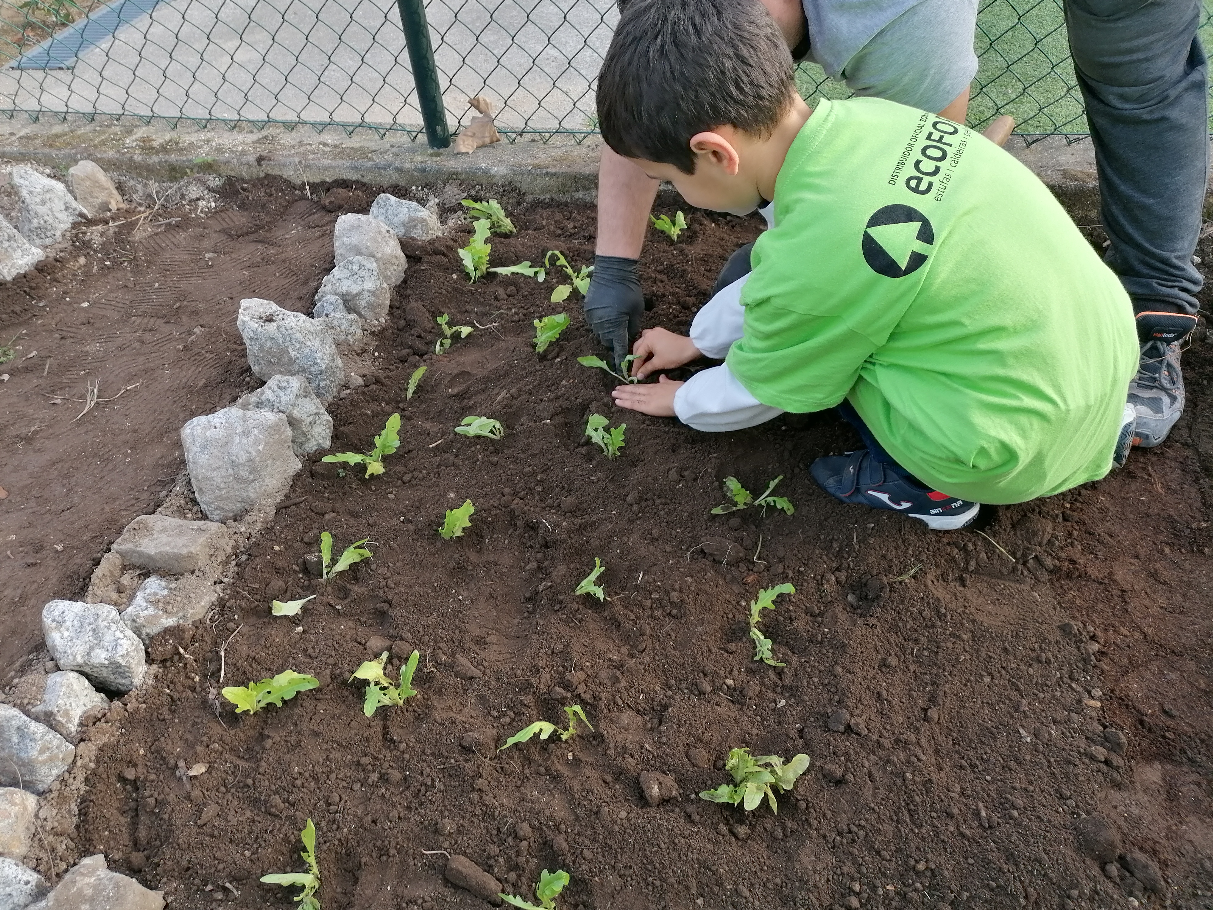 Plantação das alfaces com a colaboração de familiares.
Projeto "Escola sem Muros" - articulação com a comunidade educativa.