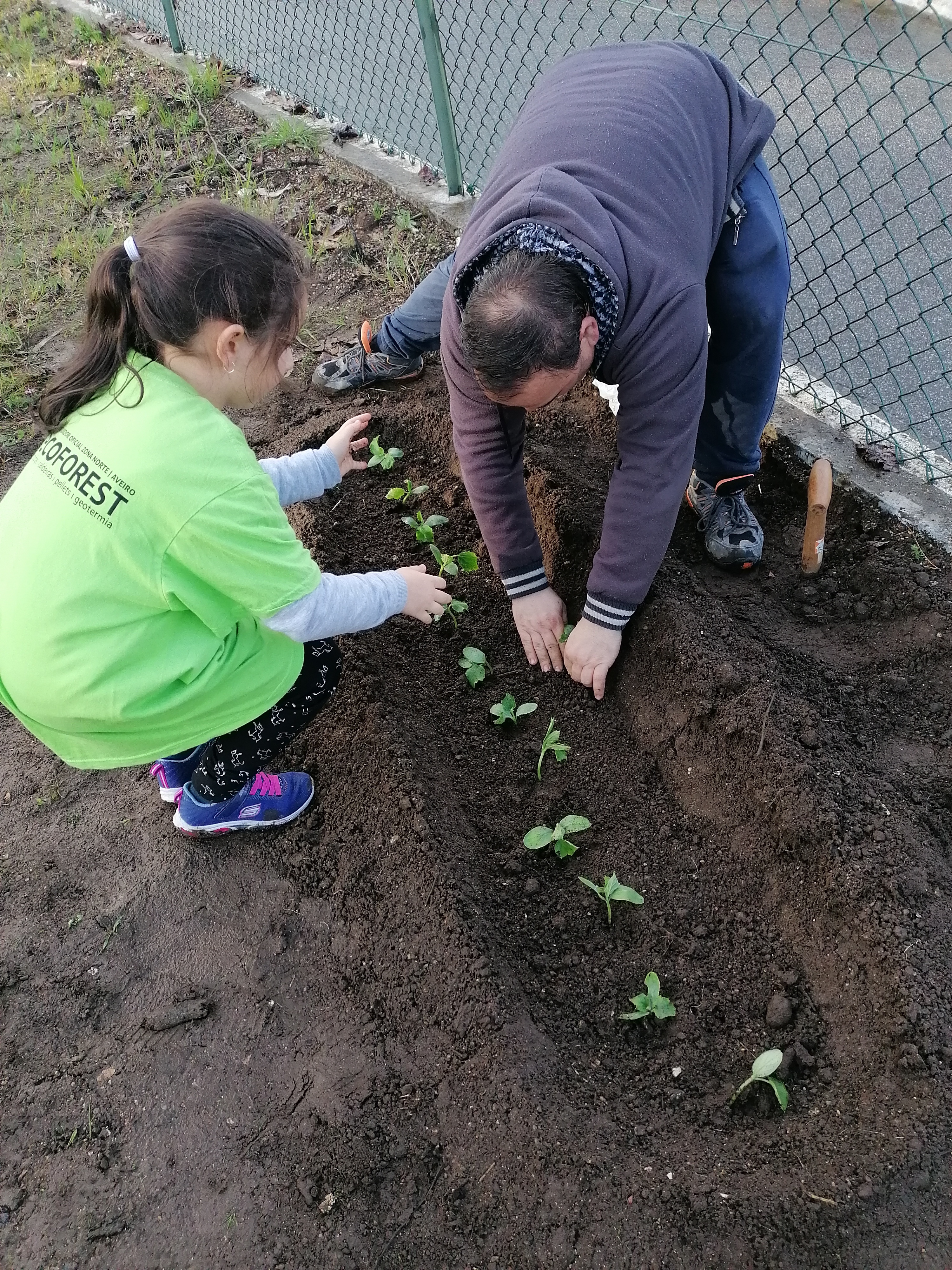 Plantação de pepinos com a colaboração de familiares.
Projeto "Escola sem Muros" - articulação com a comunidade educativa.