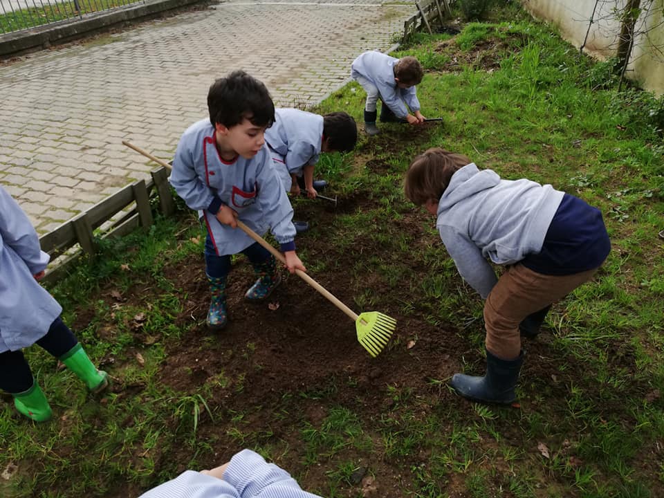 Limpeza do terreno para as primeiras sementeiras.