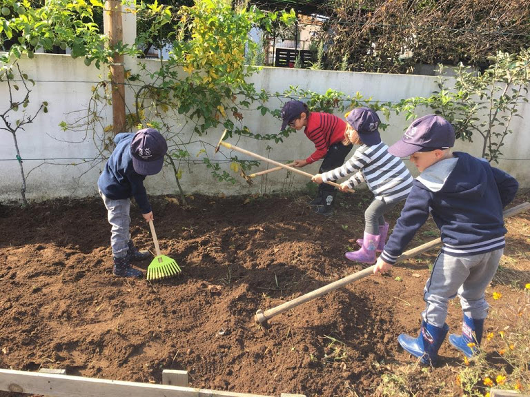 Preparação da terra  para receber novas plantações
