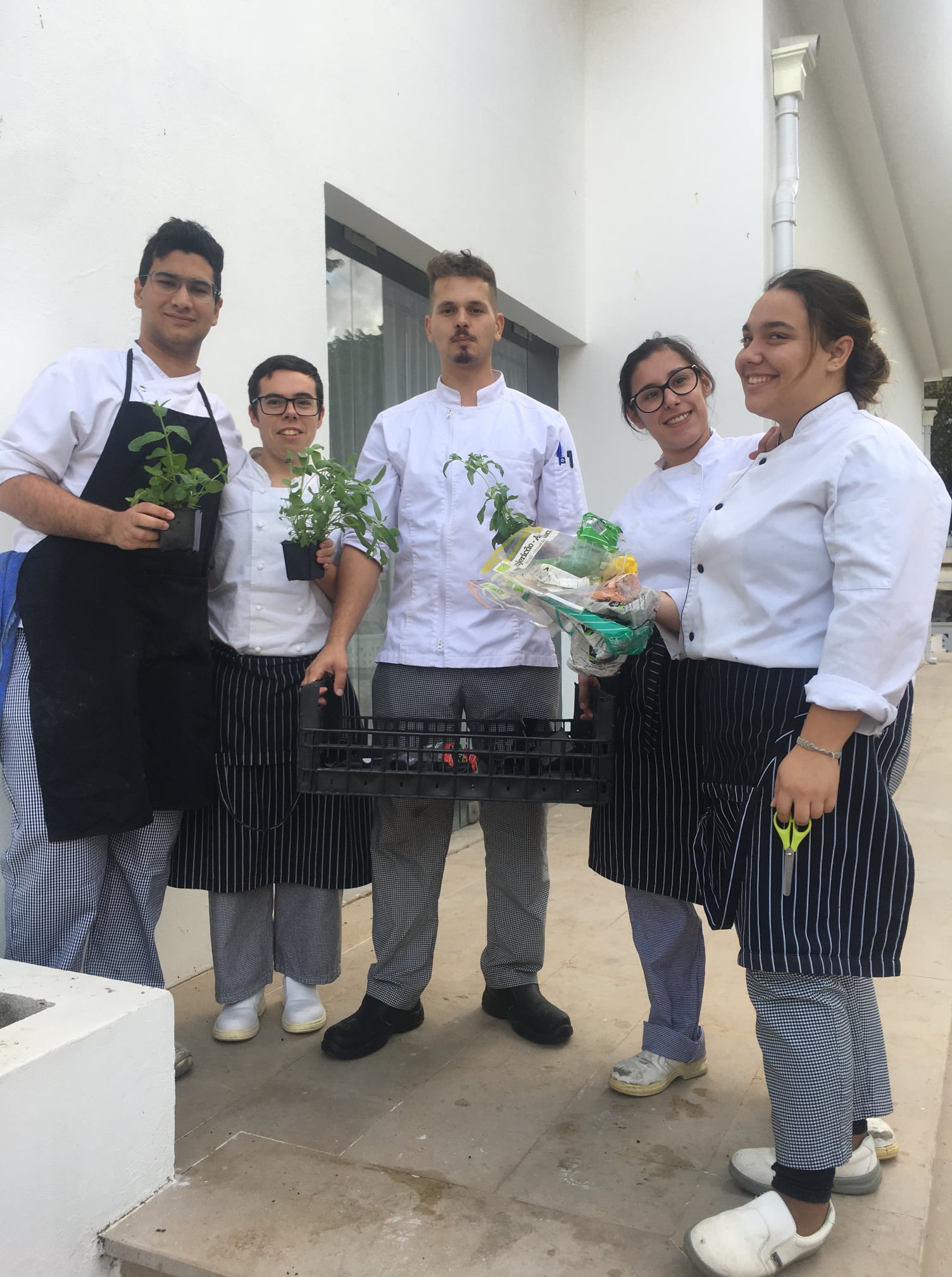 Plantação de ervas aromáticas